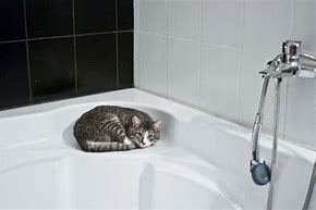 Image result for Corner Bath Sink