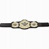 Image result for Custom Championship Belts