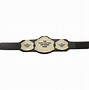 Image result for Generic Championship Belts