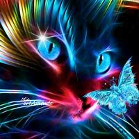 Image result for Neon Cat Wallpaper