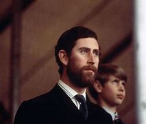 Image result for Prince Harry and King Charles Beard