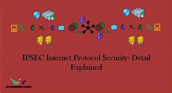 Image result for Internet Protocol