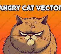 Image result for Angry Cat No Meme