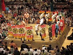 Image result for Sumo Wrestling Match