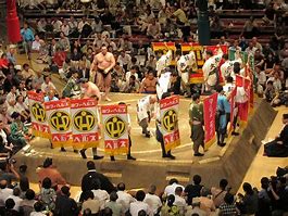 Image result for Sumo Wrestling Ring
