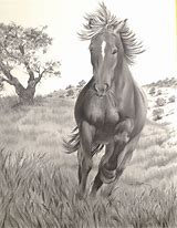 Image result for Drawings of Wild Horses Running