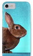 Image result for Bunny iPhone 5 Case
