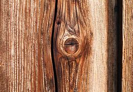 Image result for Tree Wood Grain Texture