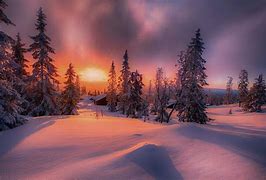 Image result for Beautiful Red Winter Wallpaper