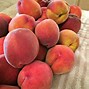 Image result for Blue Cartons of Peaches