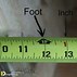 Image result for Tape Measure On Wall