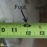 Image result for Measuring Tape Image by Engineer