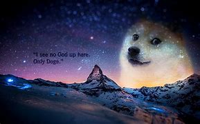 Image result for Only Doge