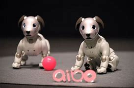Image result for Aibo 220