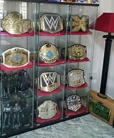 Image result for WWE Belt Case