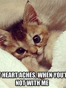 Image result for So Cute My Heart Meme