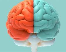 Image result for 2 Split Brain