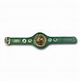 Image result for All Boxing Belts