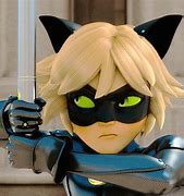Image result for Cute Cat Noir Moments