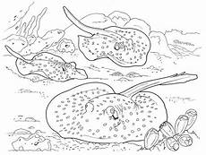 unterwasserwelt ausmalbilder zum drucken ausmalbilder unterwasserwelt ausmalbilder f 252 r kinder unterwasserwelt ausmalbilder zum drucken ausmalbilder unterwasserwelt ausmalbilder f 252 r kinder