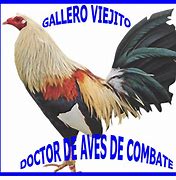 Image result for gallero