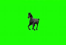 Image result for Horse Animation in Green Screen Moving