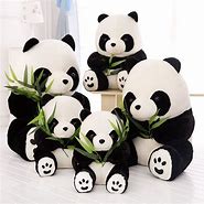 Image result for Baby Panda Bear Plush