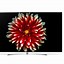 Image result for LG OLED 55B7 PC