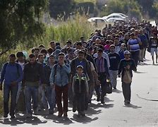 Image result for Migrants Having Fun