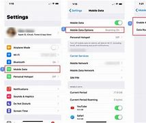 Image result for How to Tell If an iPhone Is Unlocked