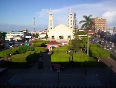 Image result for acayanca