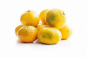 Image result for Tangerine Shot On an iPhone