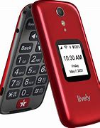 Image result for Cricket Phones for Seniors