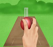 Image result for swingball cricket equipment