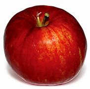 Image result for Red Jonathan Apple Trees