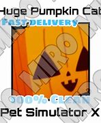 Image result for Huge Pumpkin Cat Pet Sim X