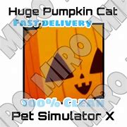 Image result for Giant Pumpkin Cat Pet Sim X