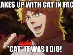 Image result for Dio Cat Meme