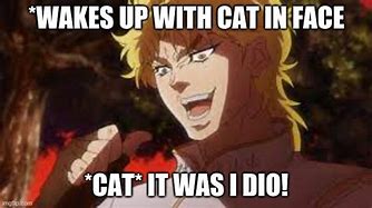 Image result for Dio Cat Meme
