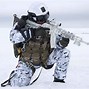Image result for Arctic Special Forces