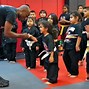 Image result for Mixed Martial Arts Styles