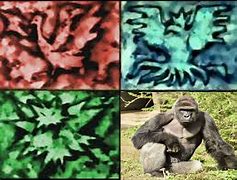 Image result for Harambe Meme Template
