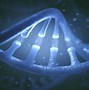 Image result for Biochemistry Nucleic Acids