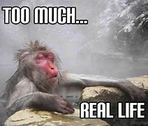 Image result for High Life Memes