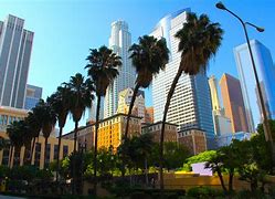 Image result for Los Angeles Scenery