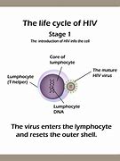 Image result for HIV Infection