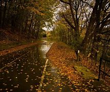 Image result for Fall Rainy Day Wallpaper