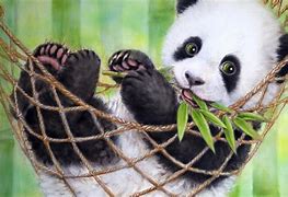 Image result for Baby Panda Screensavers