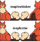 Image result for Maple Star What a Legend Meme