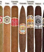 Image result for Different Cigar Sizes